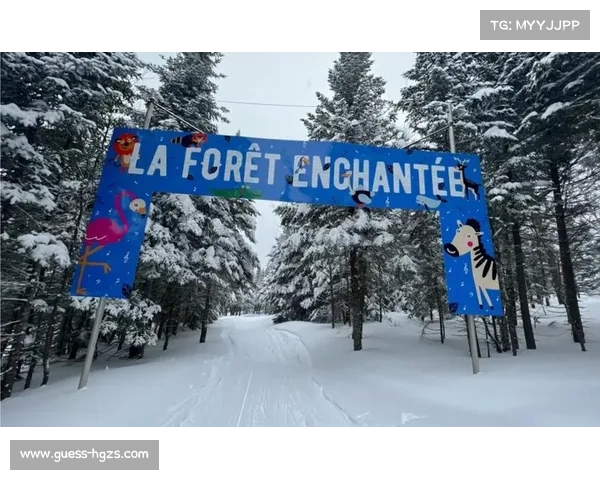 加拿大魁北克女子滑雪世界杯因雪量不足取消，气候变暖威胁赛事举办